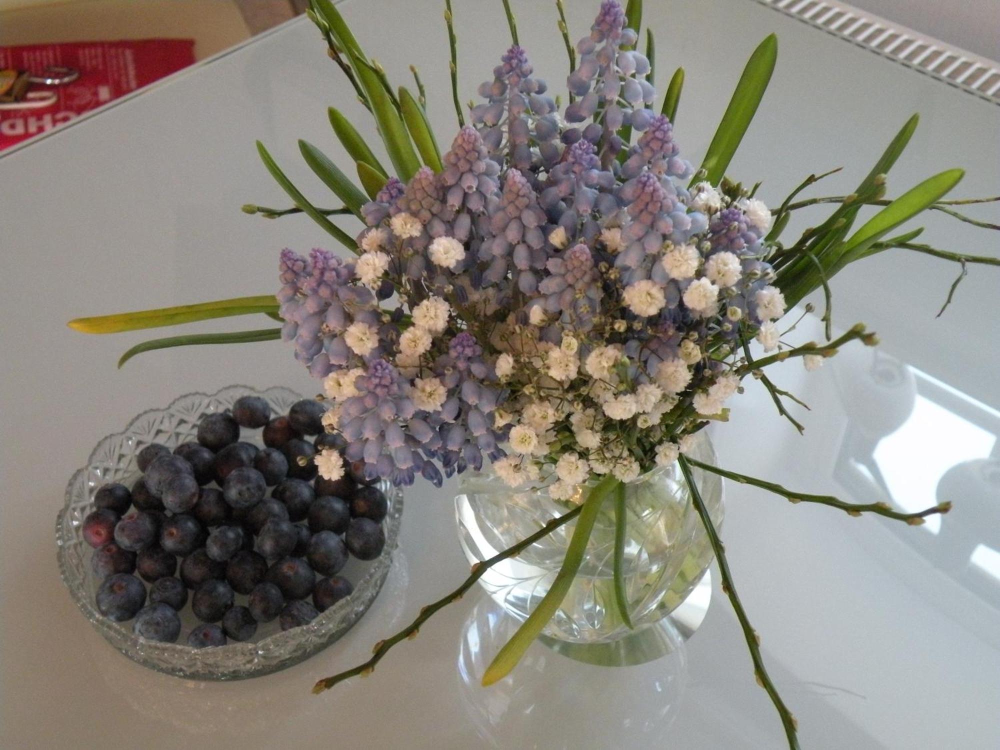 Vier Jahreszeiten Pilsum Apartment
